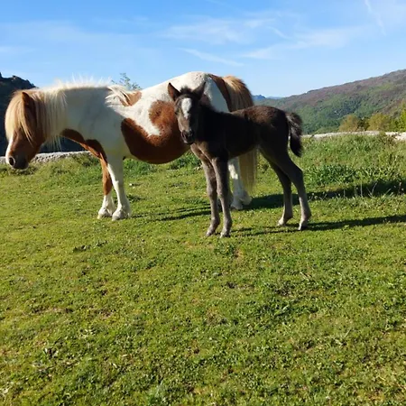 Miracastro Castro Laboreiro