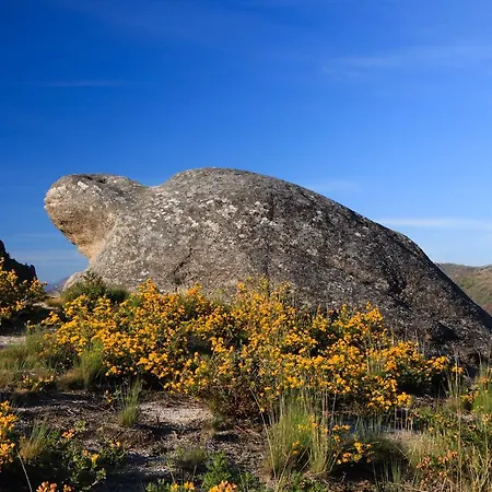 Miracastro Castro Laboreiro