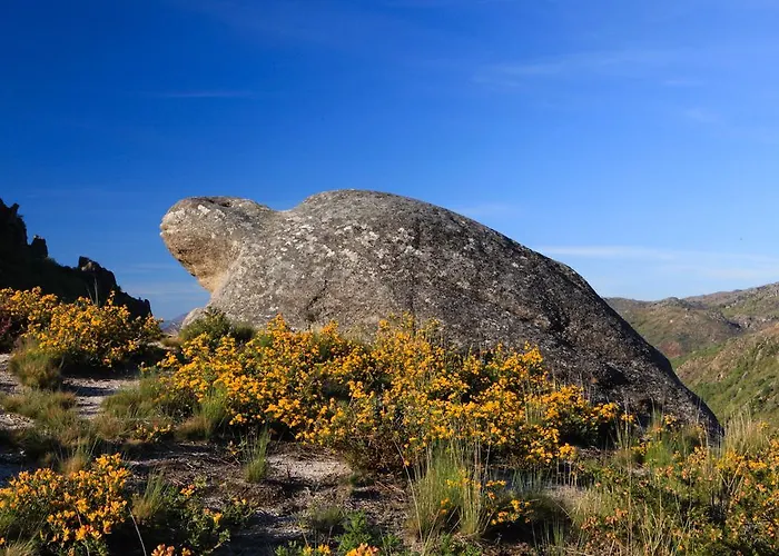 Miracastro Castro Laboreiro